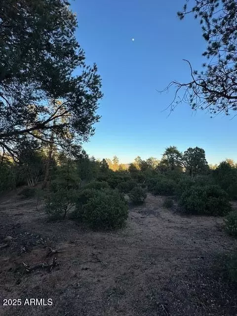 1806 E Cliff Rose Dr #839, Payson, AZ 85541 photo 29