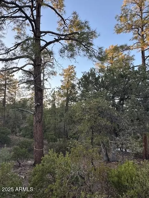 1806 E Cliff Rose Dr #839, Payson, AZ 85541 photo 37