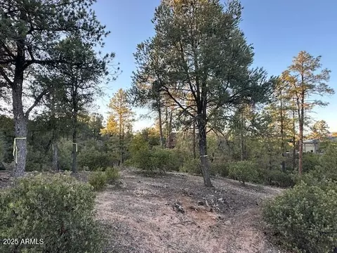 1806 E Cliff Rose Dr #839, Payson, AZ 85541 photo 22
