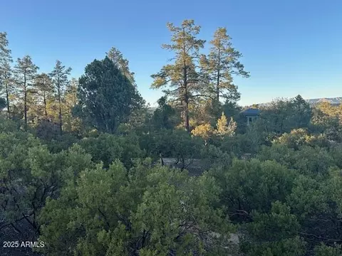 1806 E Cliff Rose Dr #839, Payson, AZ 85541 photo 9