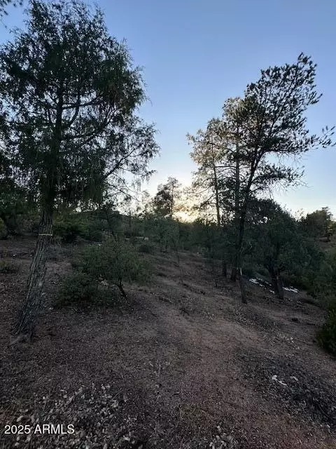 1806 E Cliff Rose Dr #839, Payson, AZ 85541 photo 30