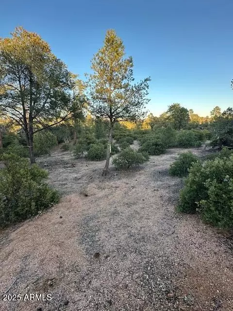 1806 E Cliff Rose Dr #839, Payson, AZ 85541 photo 18