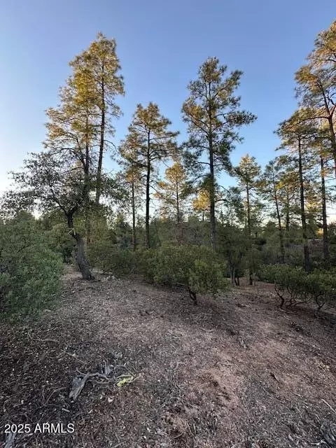 1806 E Cliff Rose Dr #839, Payson, AZ 85541 photo 33