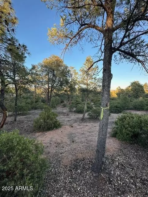 1806 E Cliff Rose Dr #839, Payson, AZ 85541 photo 17