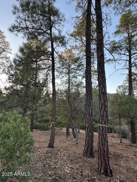 1806 E Cliff Rose Dr #839, Payson, AZ 85541 photo 41