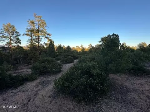 1806 E Cliff Rose Dr #839, Payson, AZ 85541 photo 19