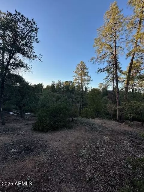 1806 E Cliff Rose Dr #839, Payson, AZ 85541 photo 31