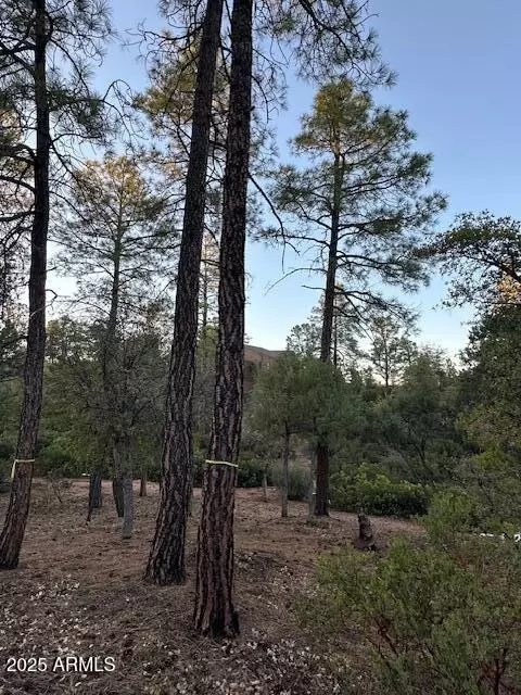 1806 E Cliff Rose Dr #839, Payson, AZ 85541 photo 42