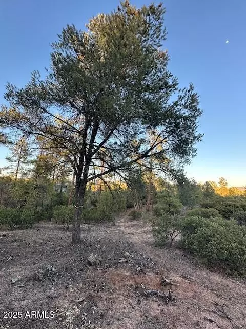 1806 E Cliff Rose Dr #839, Payson, AZ 85541 photo 28