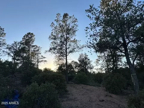 1806 E Cliff Rose Dr #839, Payson, AZ 85541 photo 4