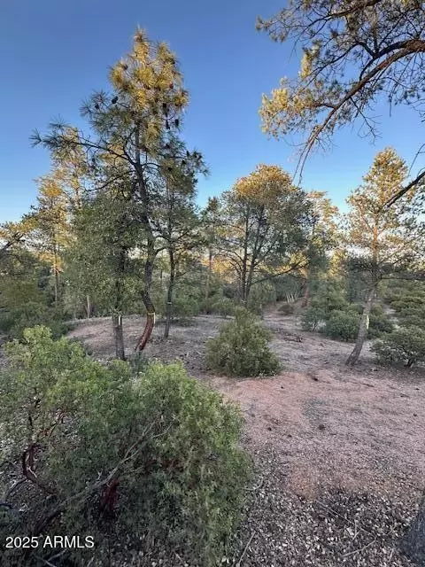 1806 E Cliff Rose Dr #839, Payson, AZ 85541 photo 16