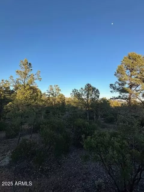 1806 E Cliff Rose Dr #839, Payson, AZ 85541 photo 15