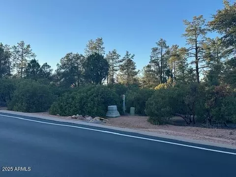 1806 E Cliff Rose Dr #839, Payson, AZ 85541 photo 5