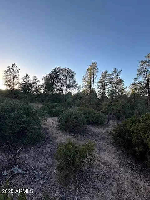 1806 E Cliff Rose Dr #839, Payson, AZ 85541 photo 35