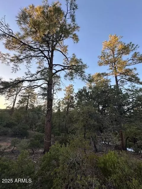 1806 E Cliff Rose Dr #839, Payson, AZ 85541 photo 38