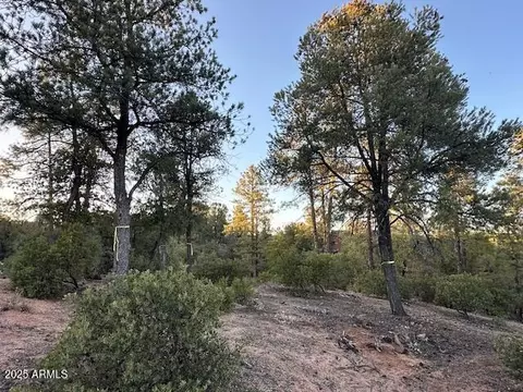 1806 E Cliff Rose Dr #839, Payson, AZ 85541 photo 23