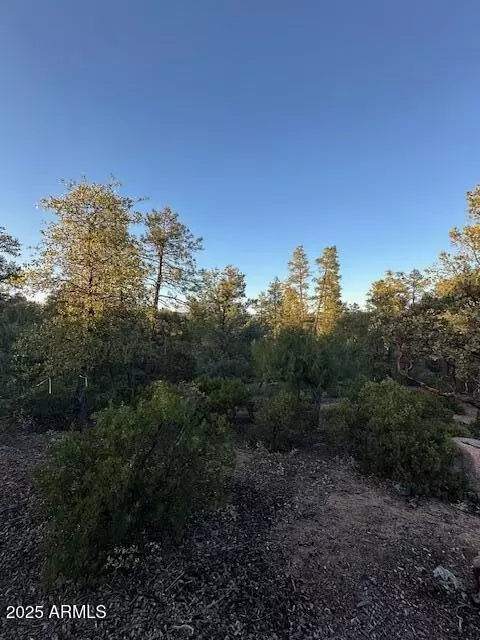 1806 E Cliff Rose Dr #839, Payson, AZ 85541 photo 14