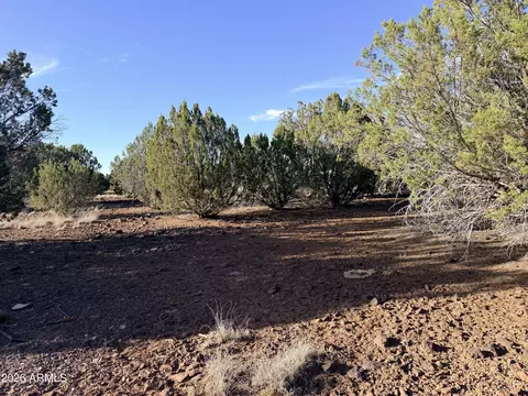 9070 Pinto Trl #-, Show Low, AZ 85901