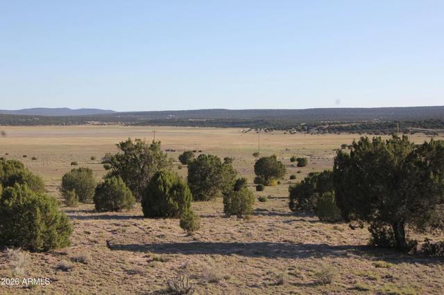 8500 Tbd County Road 8500 Rd #43, Concho, AZ 85924