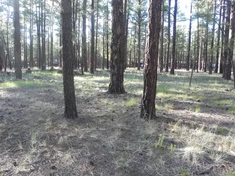 7606 E Jolly Rogue Ln #162, Williams, AZ 86046