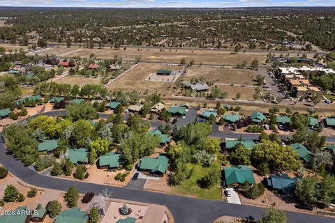 View/Area - 2335 Buffalo Loop N, Overgaard, AZ 85933 photo 4 of 6