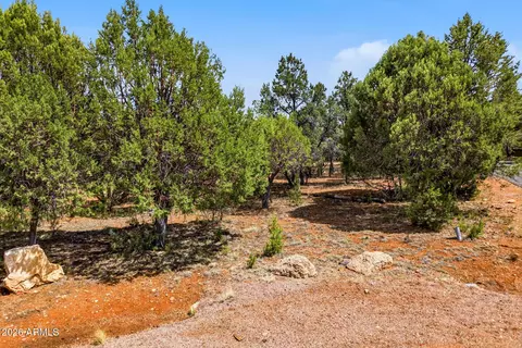 2323 Kitfox Cir #238, Overgaard, AZ 85933 photo 11