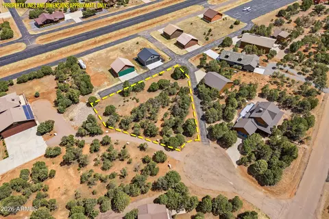2323 Kitfox Cir #238, Overgaard, AZ 85933