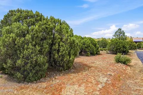 2323 Kitfox Cir #238, Overgaard, AZ 85933 photo 10