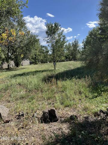 00 W Nn W Navajo Ln #151, Pinetop-lakeside, AZ 85929