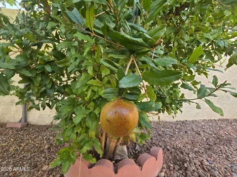 7613 E Jan Ave, Mesa, AZ 85209 photo 26