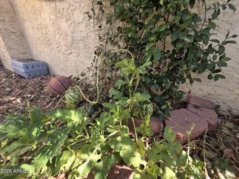 7613 E Jan Ave, Mesa, AZ 85209 photo 29