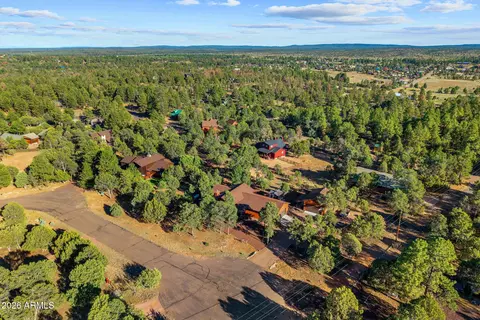 View/Area - 2207 Four Point Cir, Overgaard, AZ 85933 photo 2 of 5