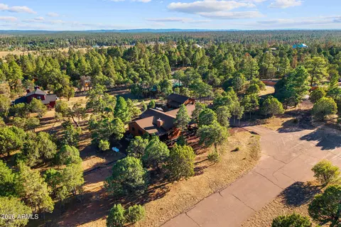 View/Area - 2207 Four Point Cir, Overgaard, AZ 85933 photo 4 of 5