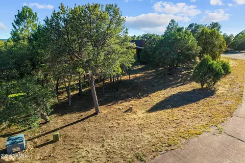 Other - 2207 Four Point Cir, Overgaard, AZ 85933 photo 14 of 14