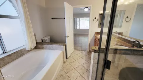 Bath - 6041 E Preston St, Mesa, AZ 85215 photo 3 of 4
