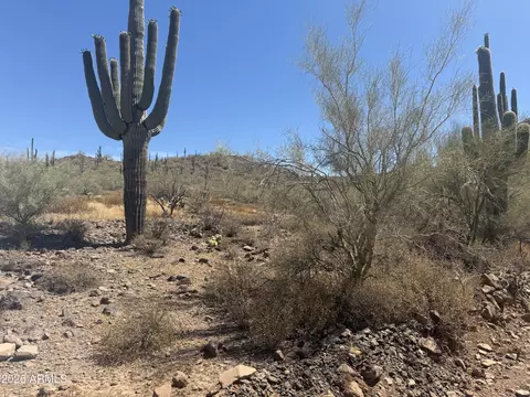 1913 E Mariola -- #-, Phoenix, AZ 85086 photo 3