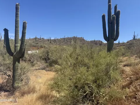 1913 E Mariola -- #-, Phoenix, AZ 85086 photo 2