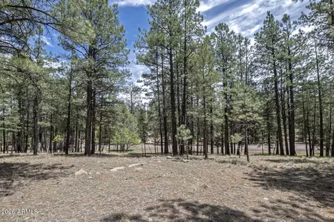 2132 W Pine Valley Rd, Happy Jack, AZ 86024
