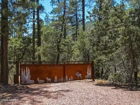 6719 W Pine Cone Trl, Pine, AZ 85544 photo 37