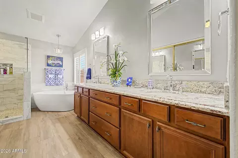 Bath - 414 S Surfside Dr, Gilbert, AZ 85233 photo 1 of 4