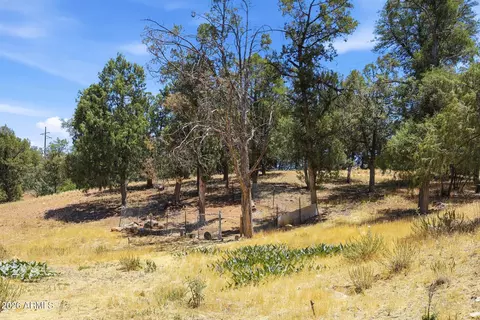 62 E Mars Ln, Payson, AZ 85541 photo 38