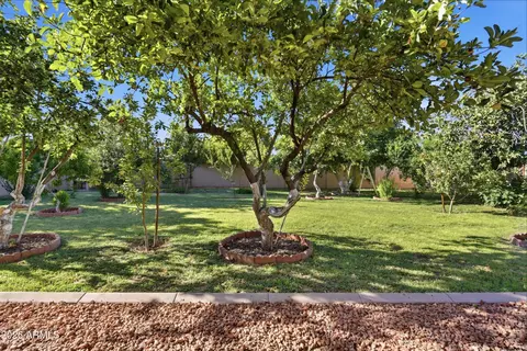 Exterior - 718 E Orangewood Ave, Phoenix, AZ 85020 photo 3 of 8