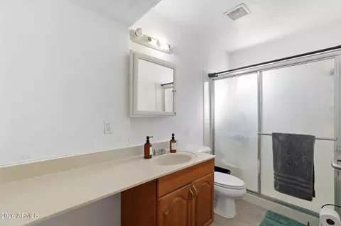 204 E Hampton Ave, Mesa, AZ 85210 photo 24