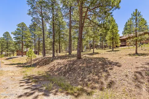 1939 E Bare Oak Loop #238, Flagstaff, AZ 86005 photo 7