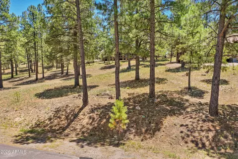 1939 E Bare Oak Loop #238, Flagstaff, AZ 86005 photo 6