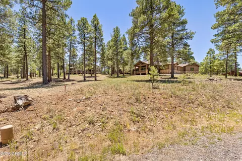 1939 E Bare Oak Loop #238, Flagstaff, AZ 86005 photo 8