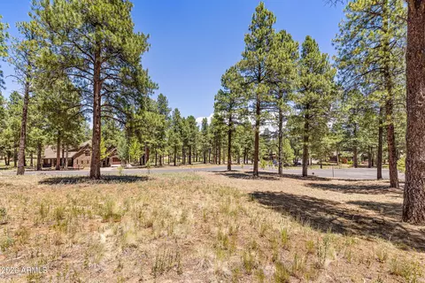 1939 E Bare Oak Loop #238, Flagstaff, AZ 86005 photo 10