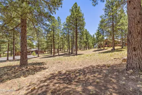 1939 E Bare Oak Loop #238, Flagstaff, AZ 86005 photo 9