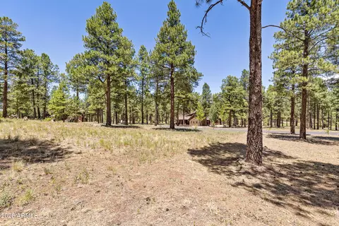 1939 E Bare Oak Loop #238, Flagstaff, AZ 86005 photo 11