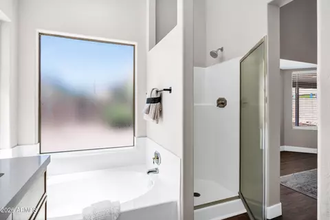 Bath - 7258 E Medina Ave, Mesa, AZ 85209 photo 4 of 4